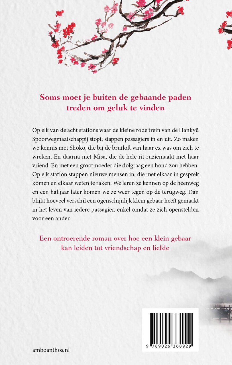 Het volgende station (E-book)