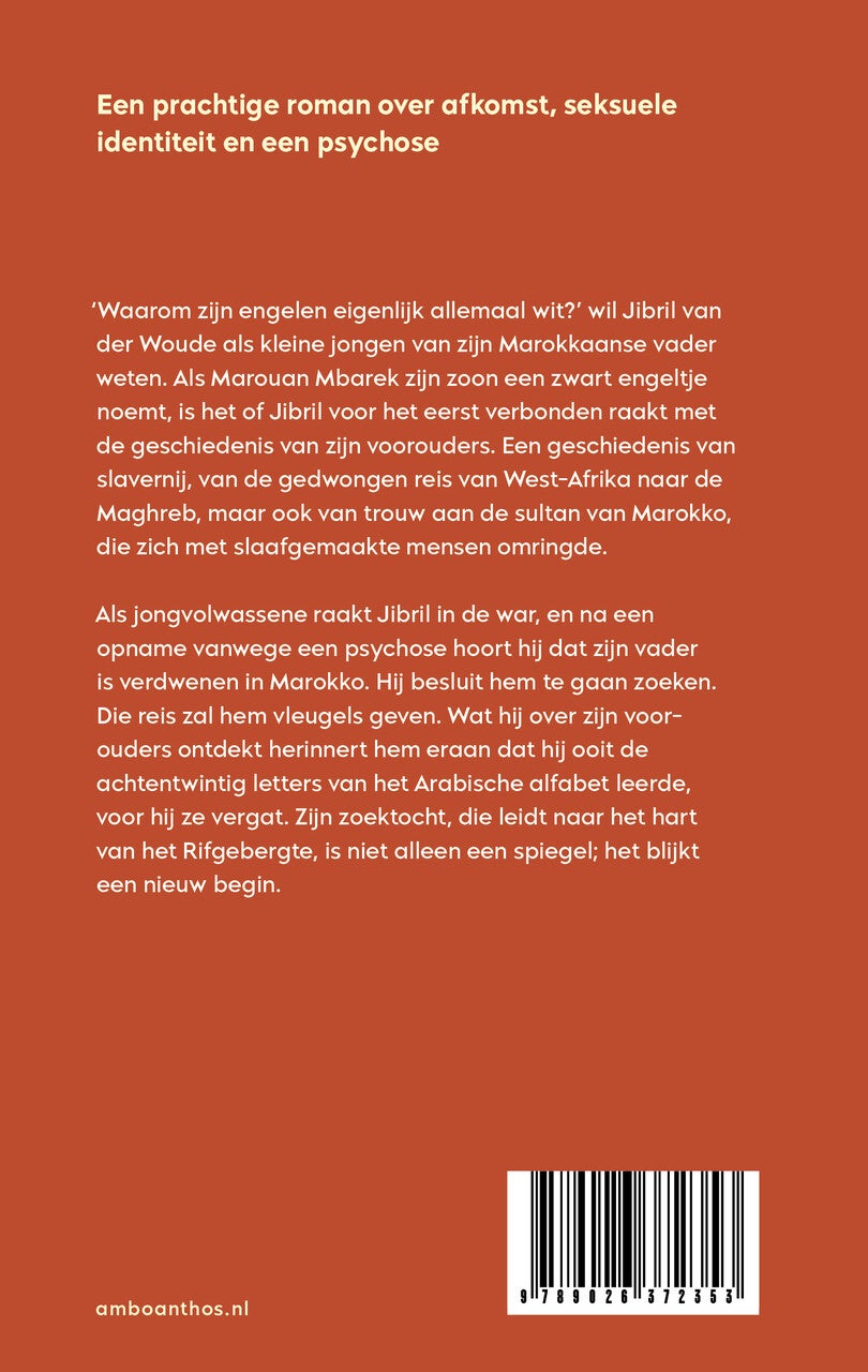 Achtentwintig letters (E-book)