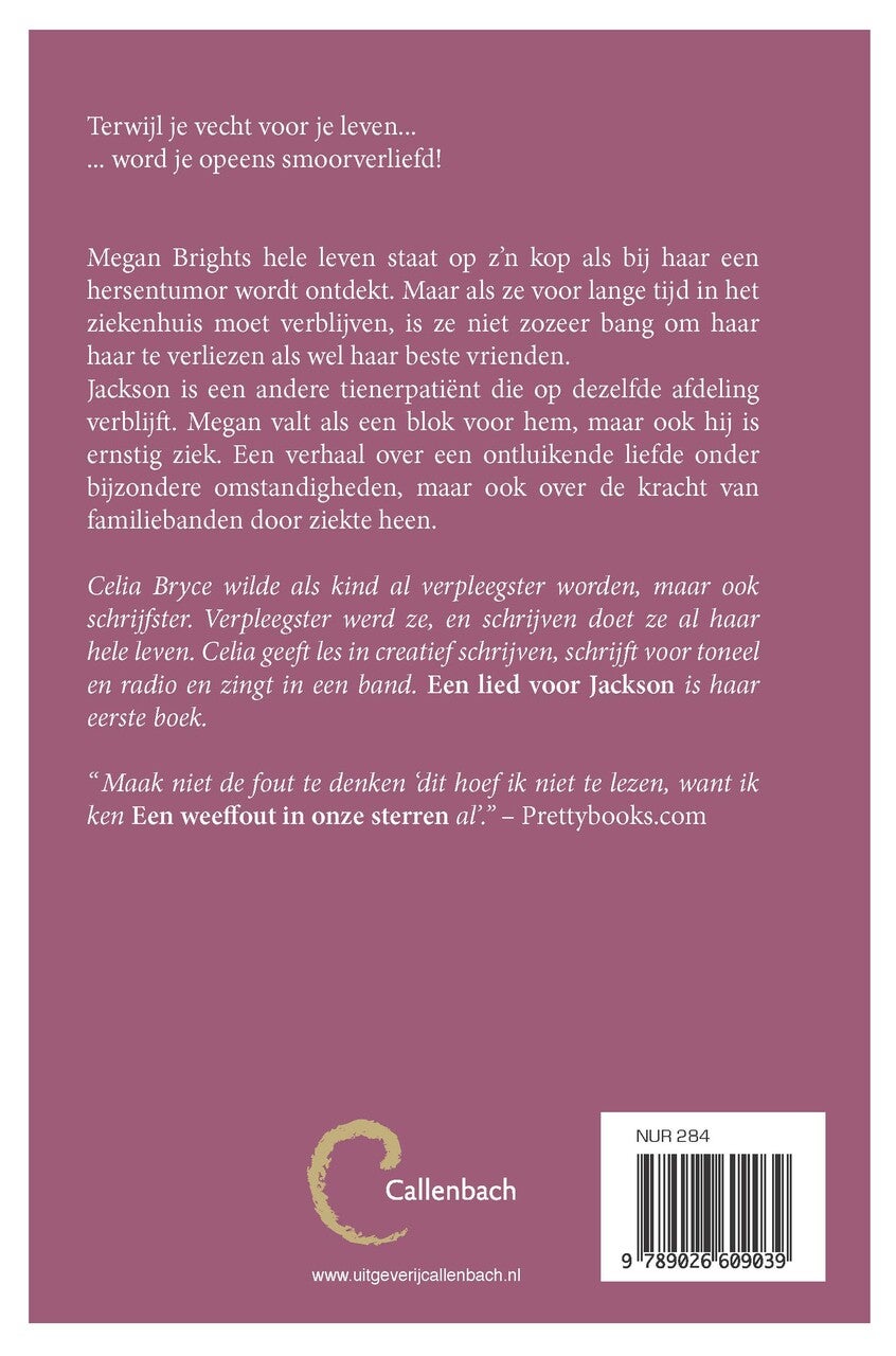 Een lied voor Jackson (E-book)