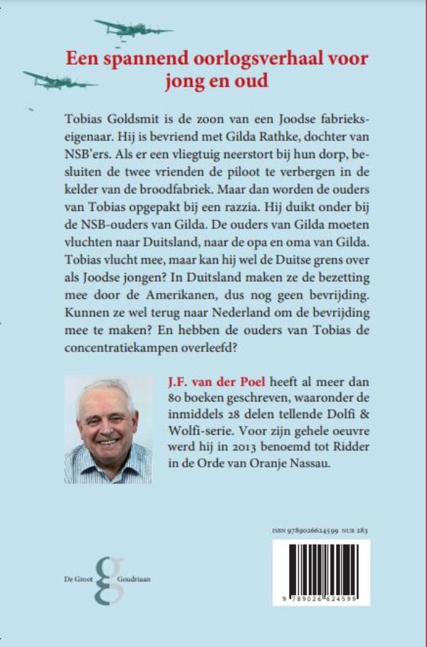 De bevrijding die nooit kwam (E-book)