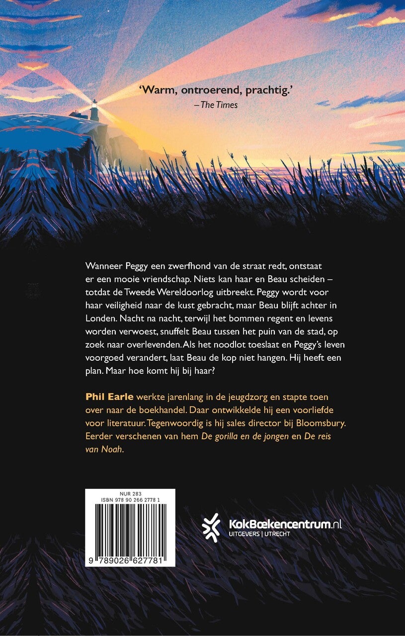 Helden van de straat (Hardback)