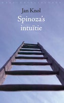 Spinoza's intuitie (Paperback)