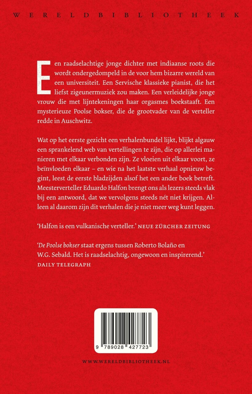 De Poolse bokser (E-book)