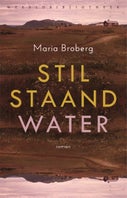 Stilstaand water (E-book)