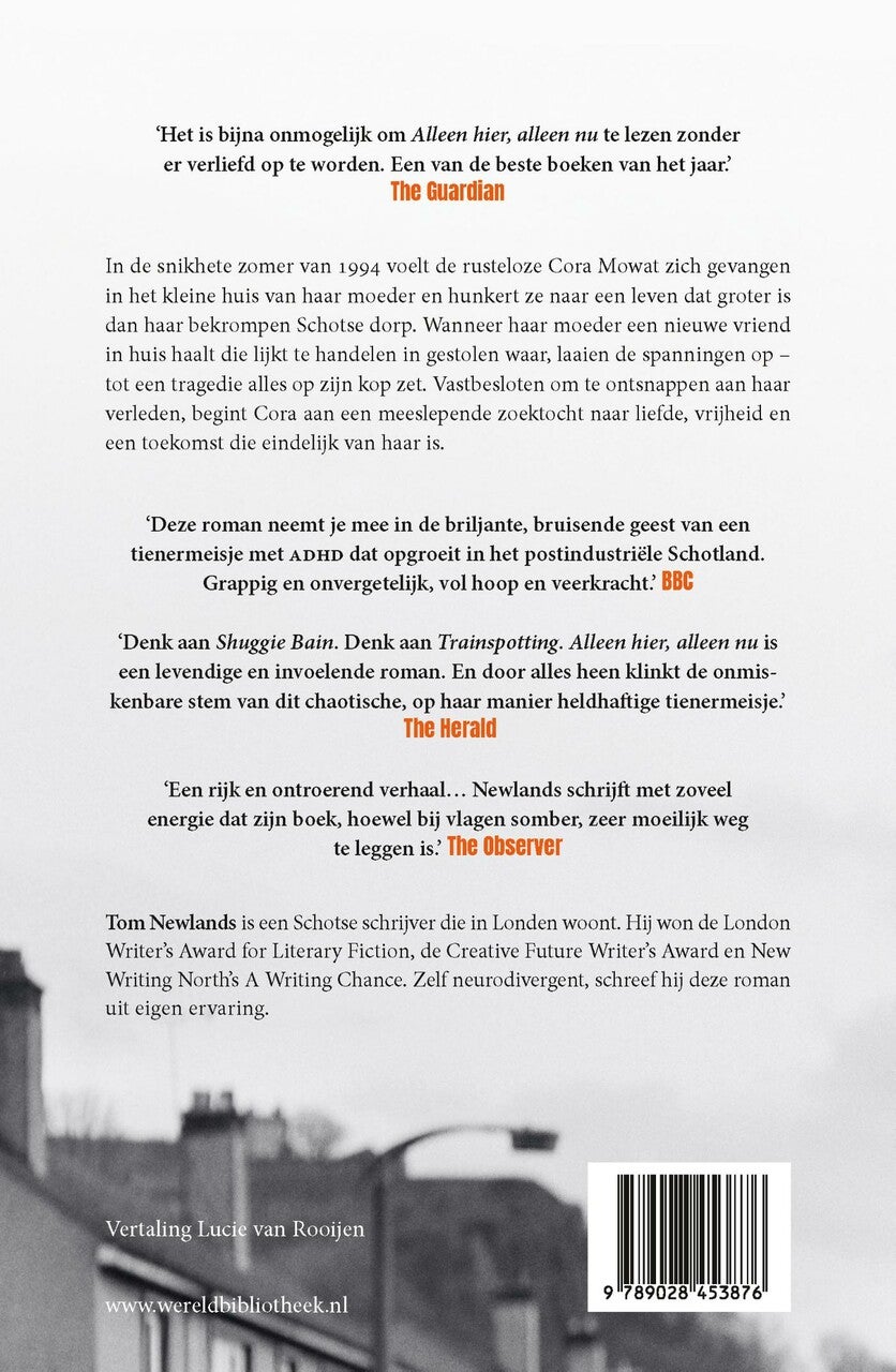 Alleen hier, alleen nu (E-book)