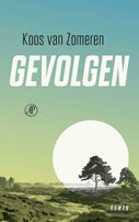 Gevolgen (E-book)