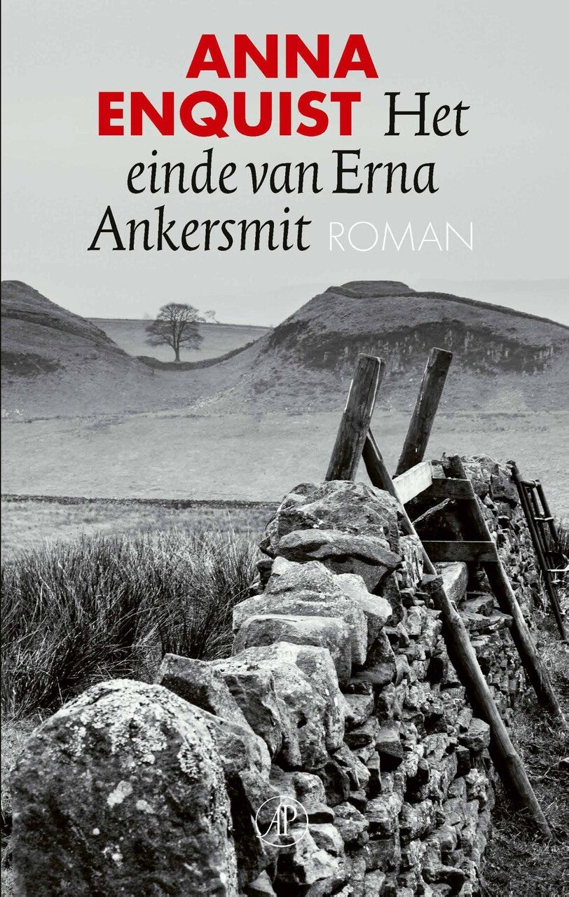 Het einde van Erna Ankersmit (E-book)