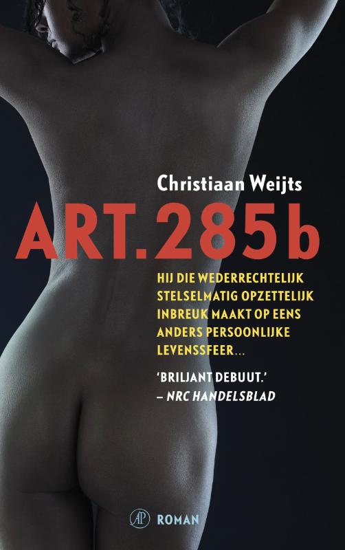 Art. 285b (E-book)