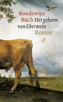 Het geheim van Eberwein (E-book)