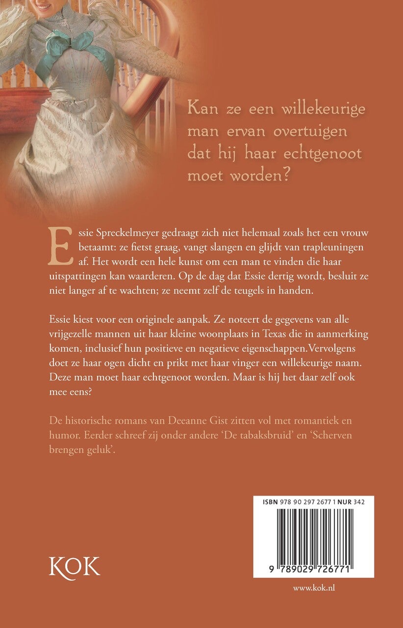 Een schone zaak (E-book)