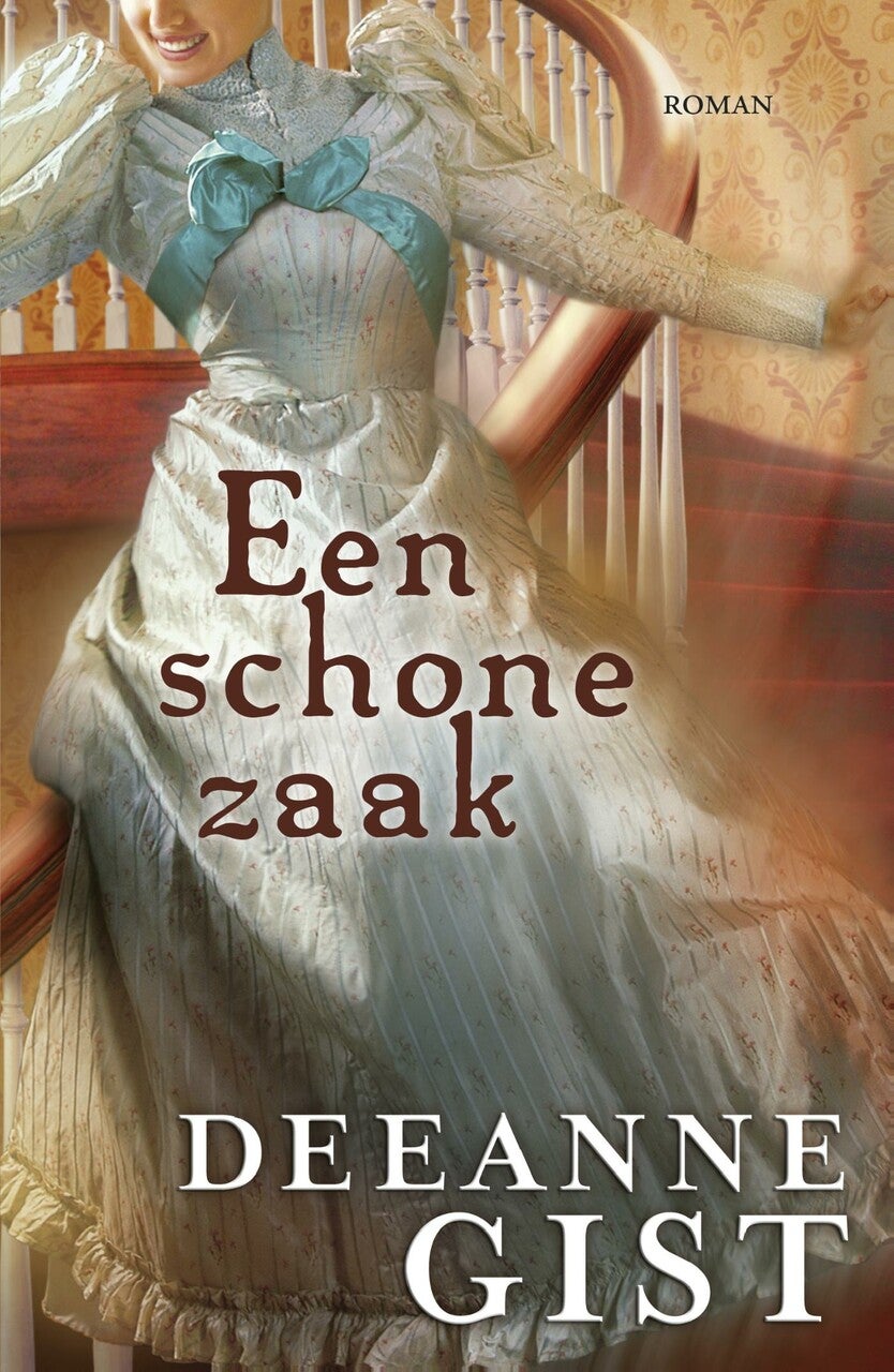 Een schone zaak (E-book)