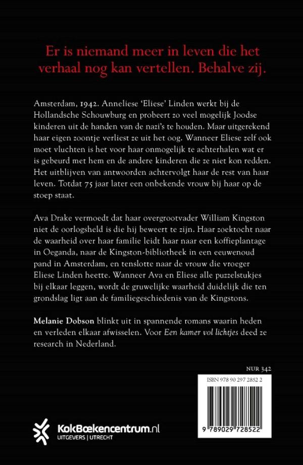 Een kamer vol lichtjes (E-book)