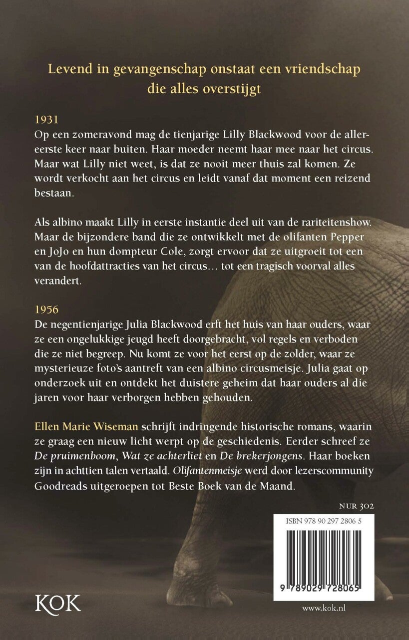 Olifantenmeisje (Paperback)