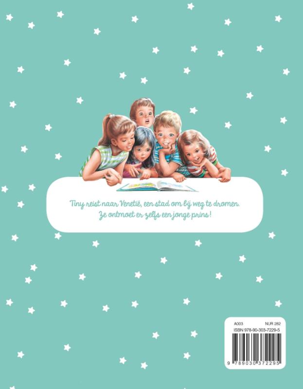 Tiny en de geheimzinnige prins (Hardback)