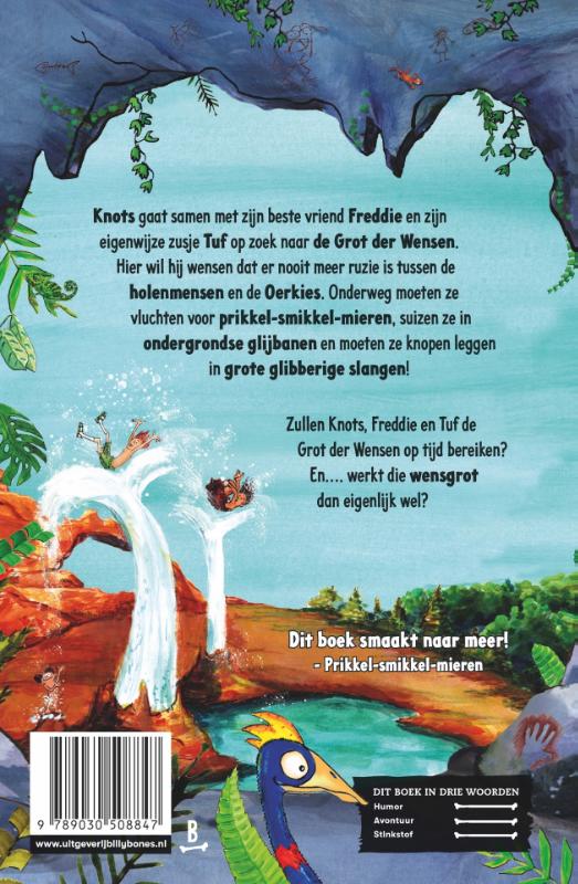 De grot der wensen (Hardback)