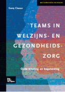 Teams in welzijns- en gezondheidszorg (Hardback)