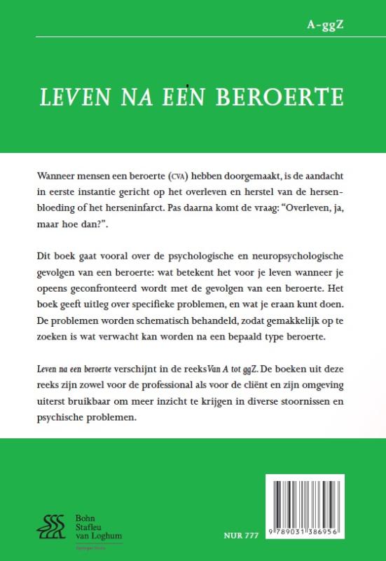 Leven na een beroerte (Paperback)