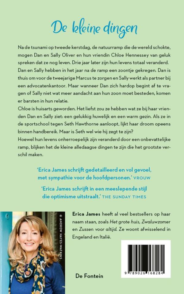 De kleine dingen (E-book)