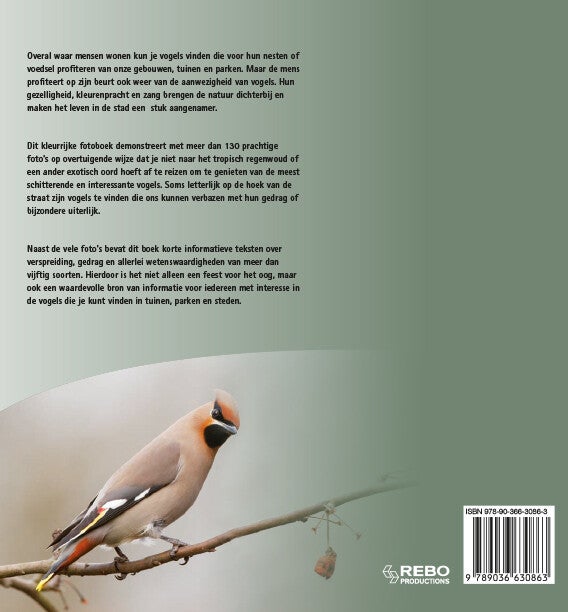 Vogels van tuin, park en stad in Europa (Hardback)