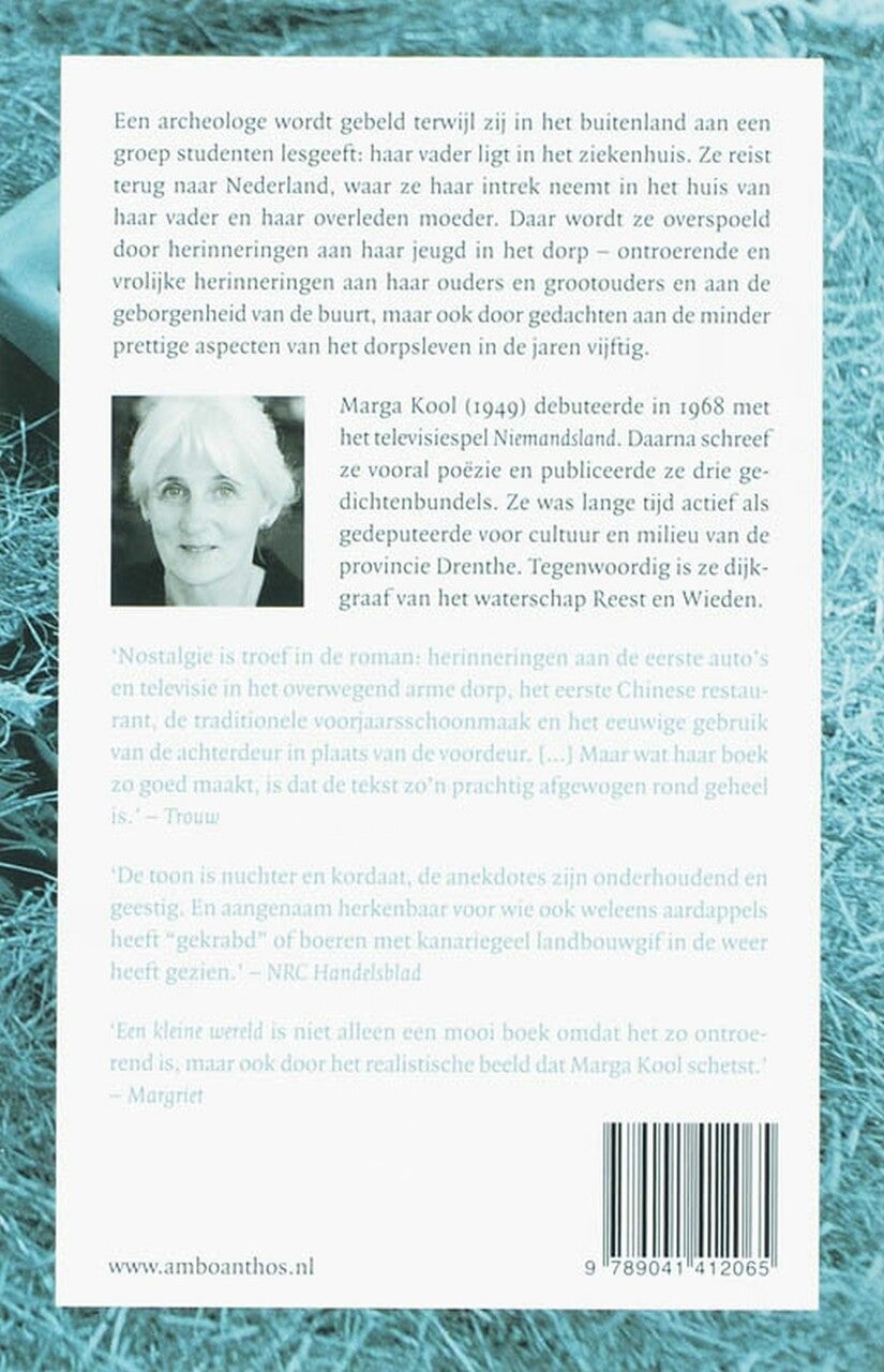 Een kleine wereld (E-book)