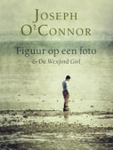 Figuur op een foto en De Wexford girl (E-book)