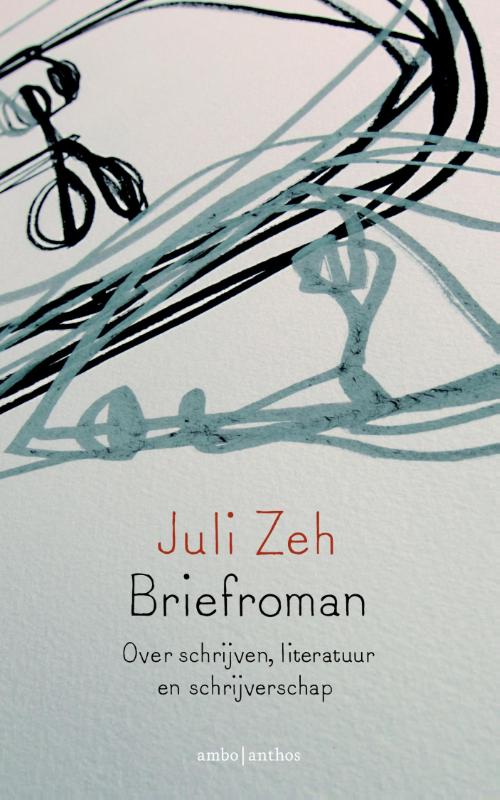 Briefroman (Paperback)