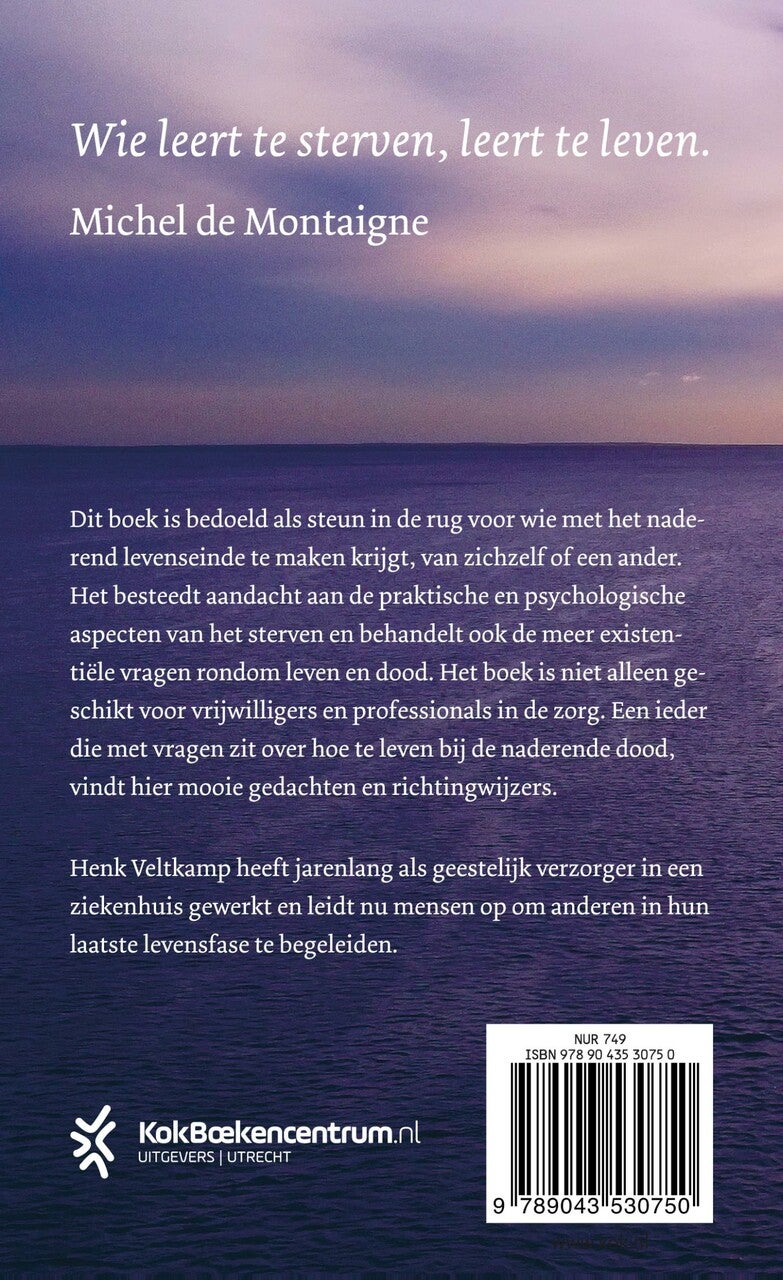 Dichtbij de horizon (E-book)