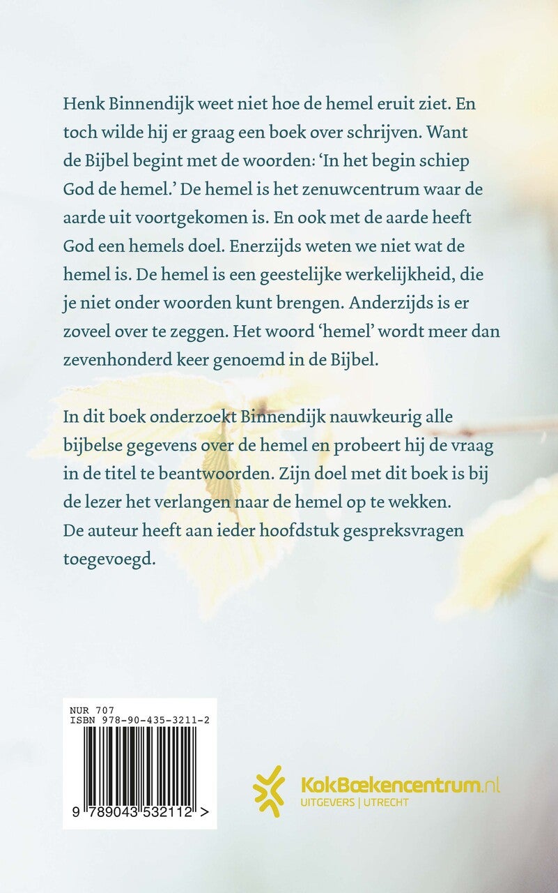 Hoe ziet de hemel eruit? (Paperback)