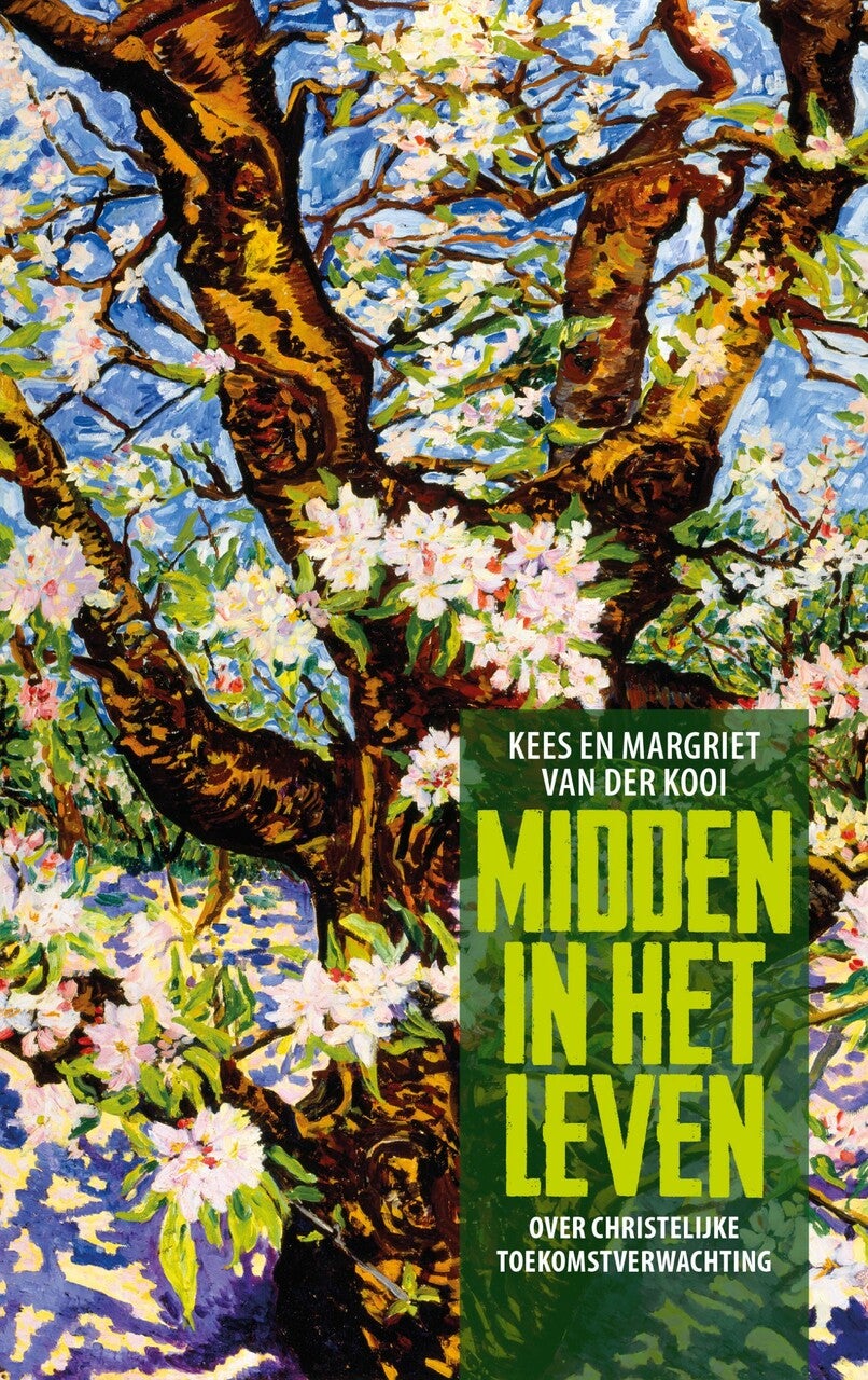 Midden in het leven (E-book)