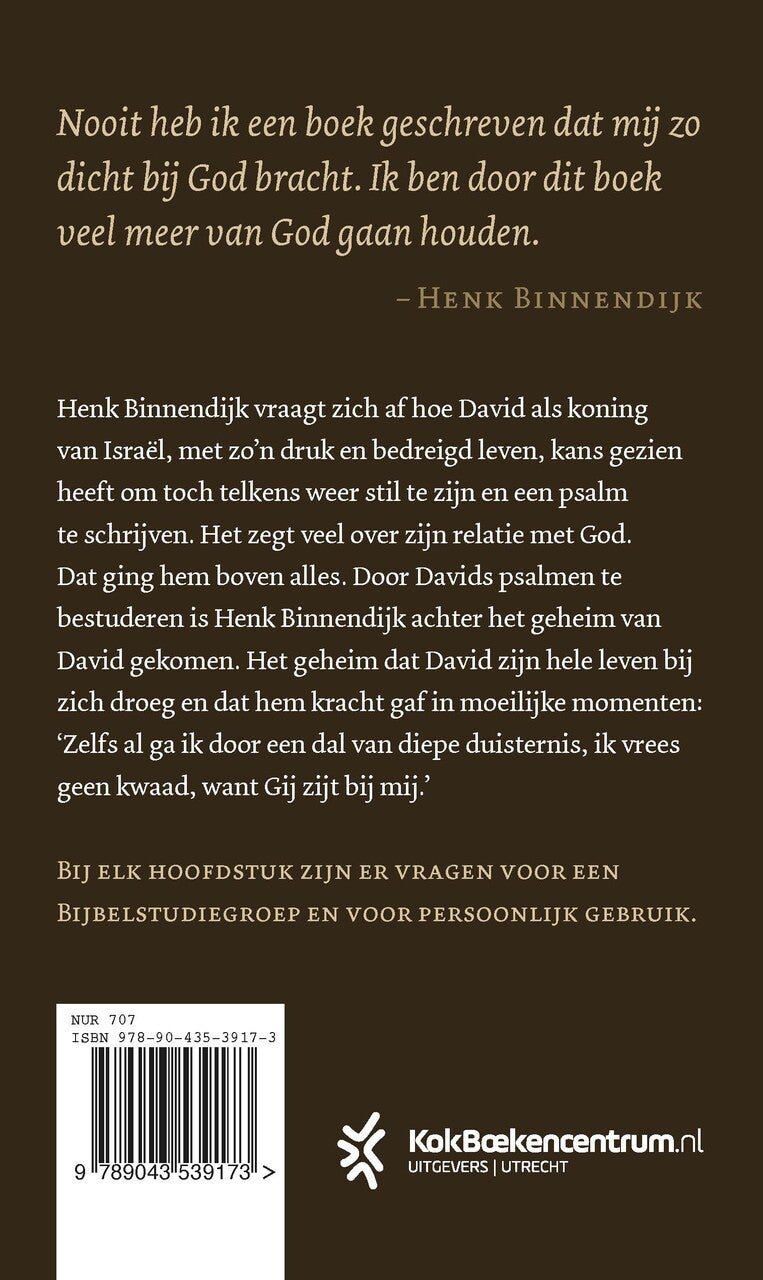 Het geheim van David (Paperback)