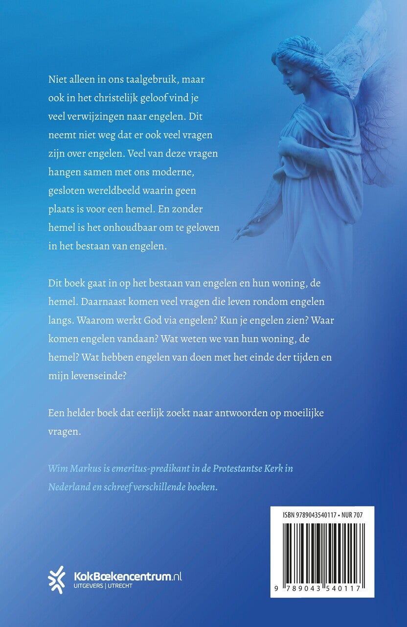 Engelen overal (E-book)