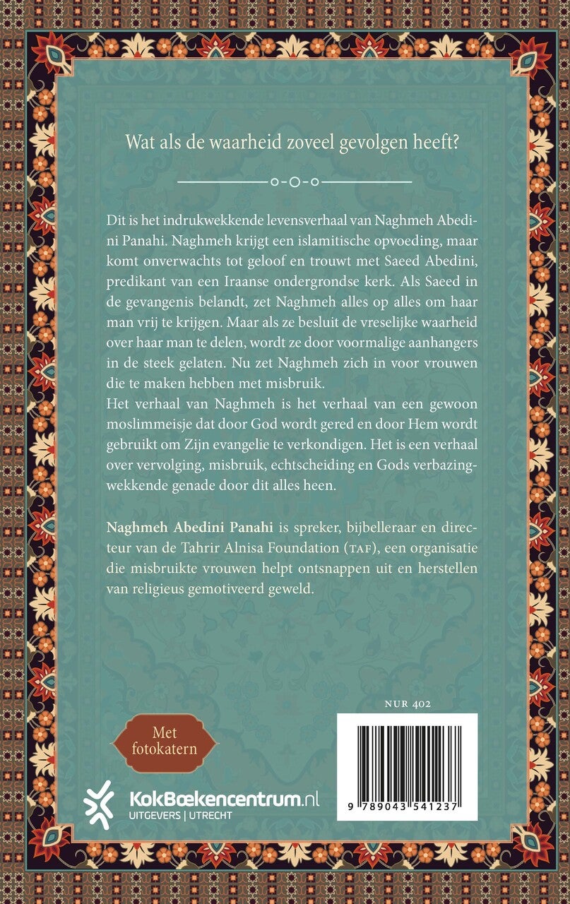 Wat niemand zag (Paperback)