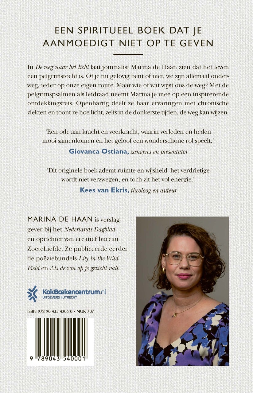De weg naar het licht (E-book)