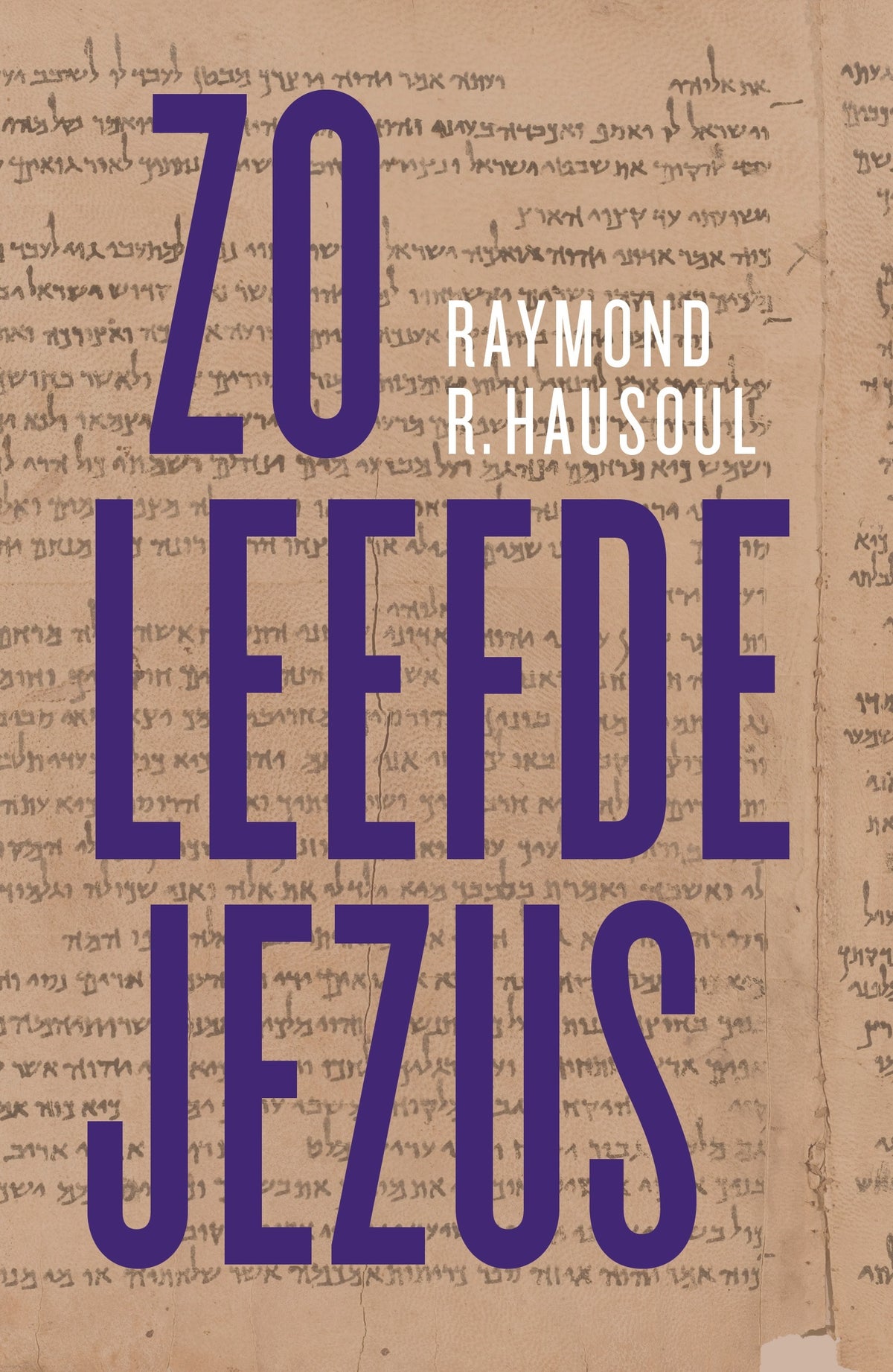 Zo leefde Jezus (E-book)