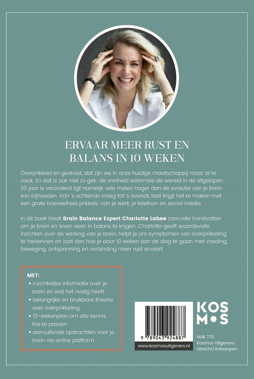 Overprikkeld Brein (E-book)