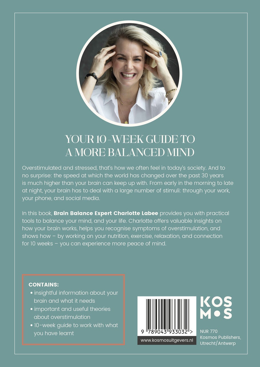 Brain under Strain (E-book)