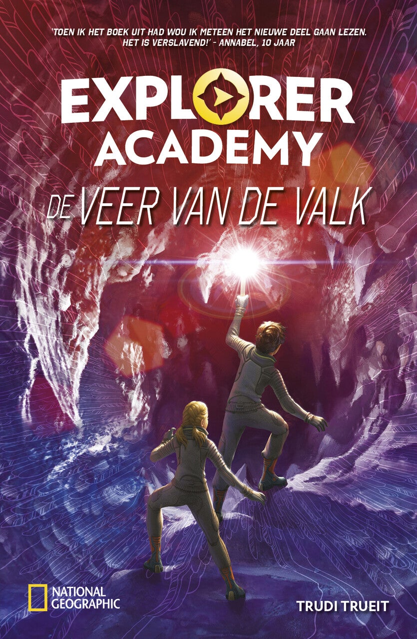 De veer van de valk (E-book)