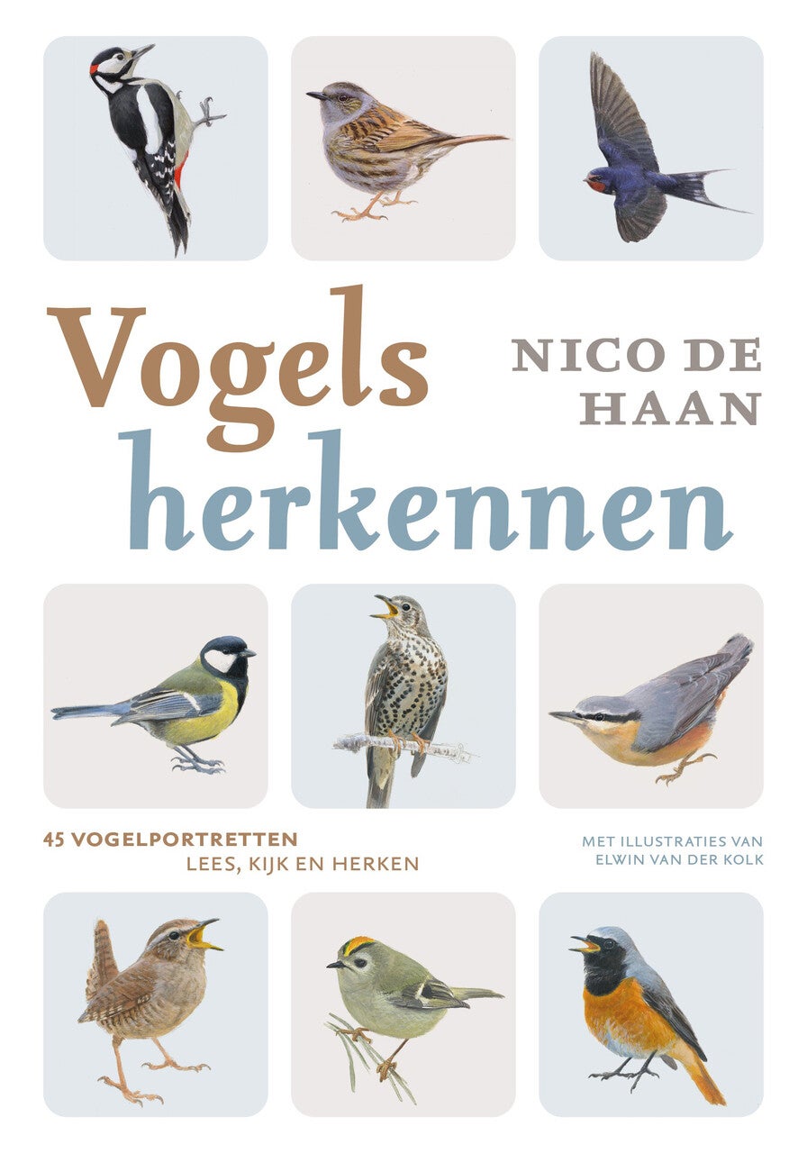 Vogels herkennen (E-book)