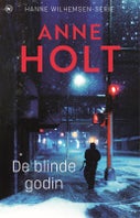 Blinde godin (Paperback)