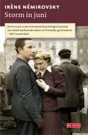 Storm in juni (E-book)