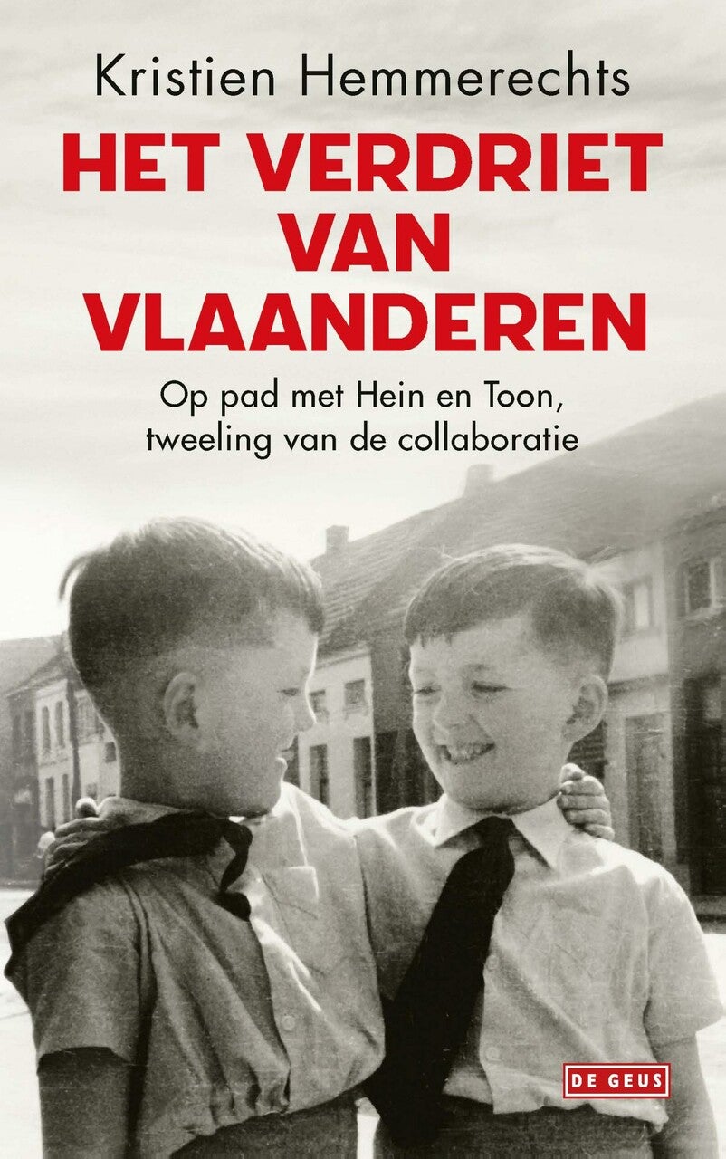 Het verdriet van Vlaanderen (E-book)