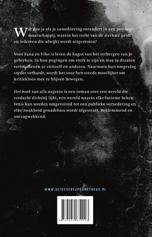 Het boek van alle angsten (Paperback)
