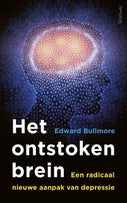 Het ontstoken brein (E-book)