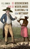 De geschiedenis van de Nederlandse slavernij in een notendop (Paperback)