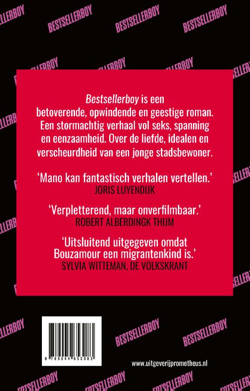 Bestsellerboy (Paperback)