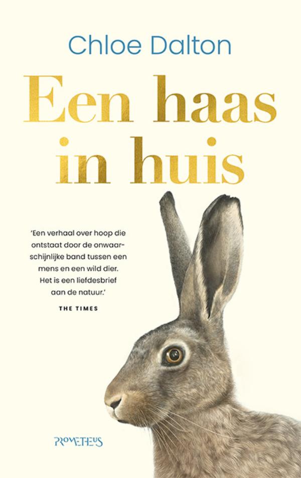 Een haas in huis (Hardback)