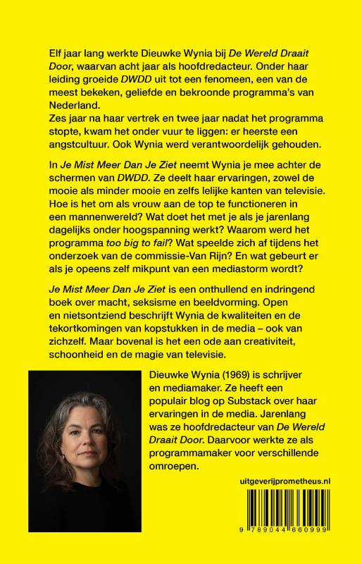 Je mist meer dan je ziet (Paperback)