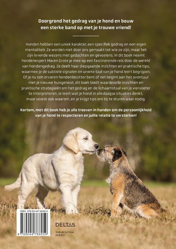 Honden beter begrijpen (Paperback)