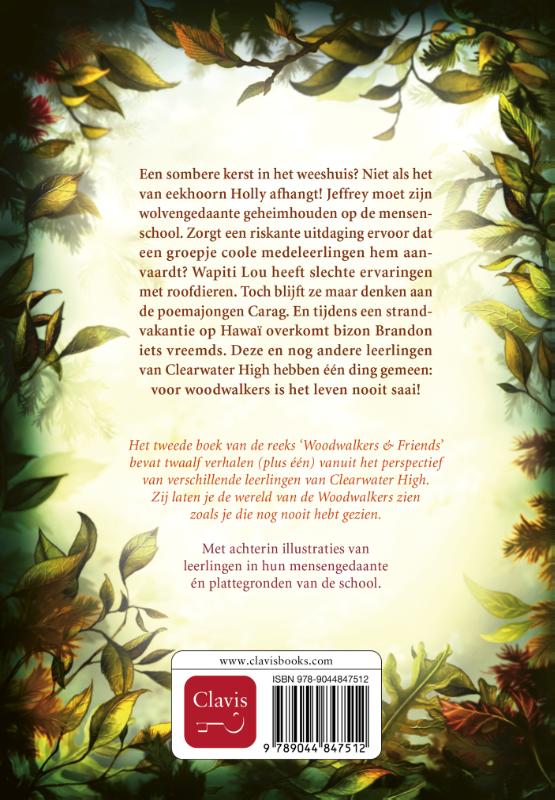Twaalf geheimen (Hardback)