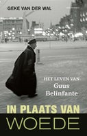 In plaats van woede (E-book)